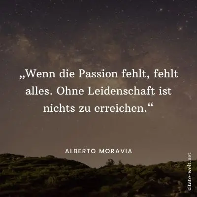 Sprüche Leidenschaft: Wenn die Passion fehlt, fehlt alles. Ohne Leidenschaft ist nichts zu erreichen